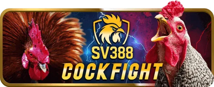 Lời khuyên an toàn kv9999